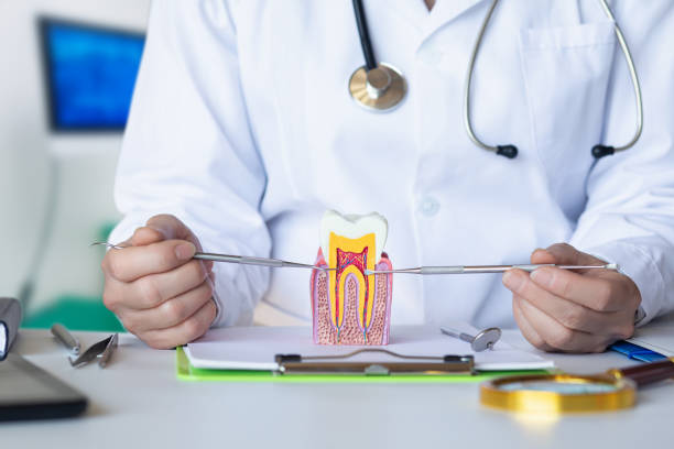 Best Mobile Emergency Dentist in Highland Park, MI